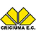 Imagem da matéria: Família ajuda Abel a refletir após polêmica com torcida do Palmeiras