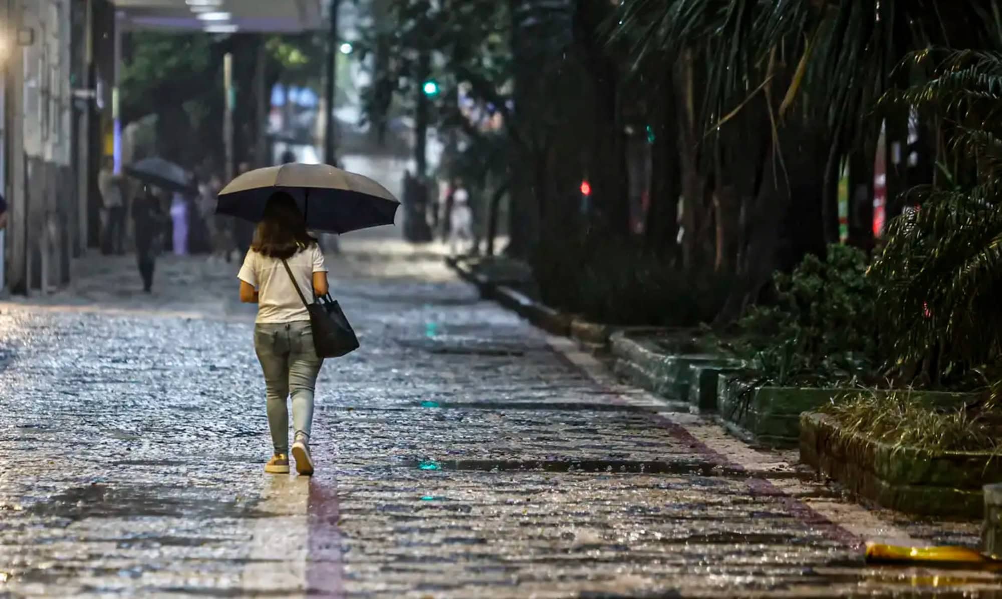 Mulher com guarda-chuva durante chuva forte