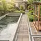 7 Cara Menata Kolam Lele dan Kandang Ayam di Halaman Rumah agar Tidak Bau dan Tetap Bersih