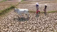 Mencari Setetes Air di Tengah Kemarau