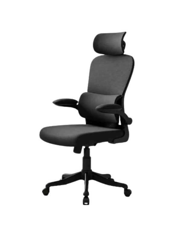 Cadeira de Escritório LuvinCo B500